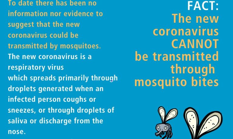 OMS: Coronavirusul nu se transmite prin înțepăturile țânțarilor