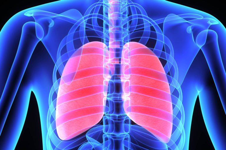 Tuberculoza, transmisa de la animalele salbatice la om