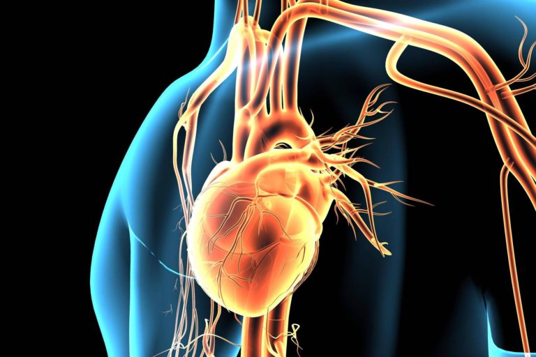 Femeile care sufera un infarct primesc ingrijiri de calitate mai slaba decat barbatii – raport Fundatia Britanica a Inimii