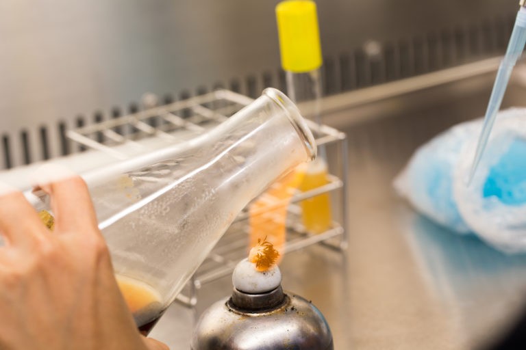 Noul coronavirus: România face stocuri medicale de urgență