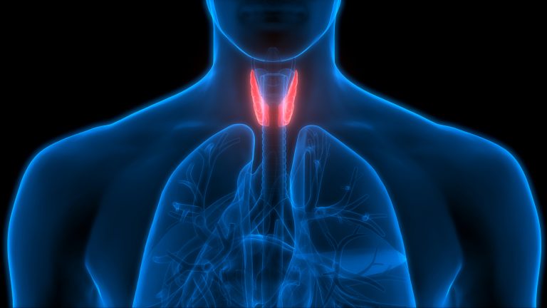 25 mai, Ziua Mondială a Tiroidei. Care sunt cele mai frecvente afecțiuni ale glandei tiroide