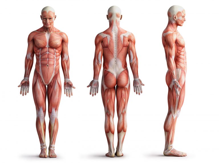 1 din 3600 de băieți nou-născuți este afectat de distrofia musculară Duchenne