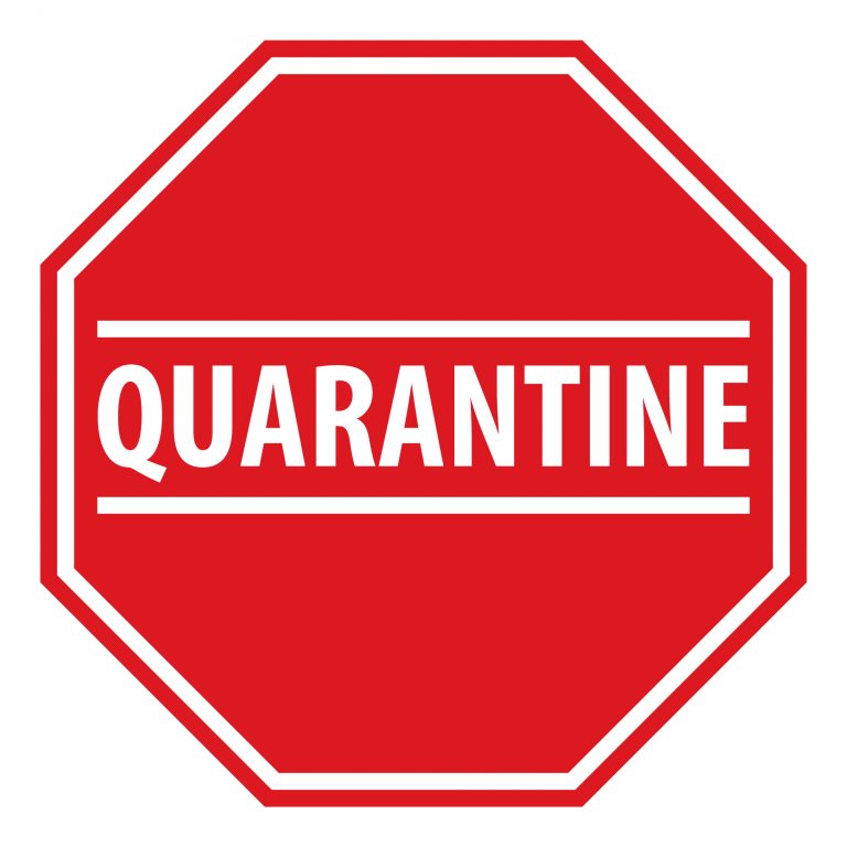 BREAKING NEWS Italia impune carantină persoanelor venite din România