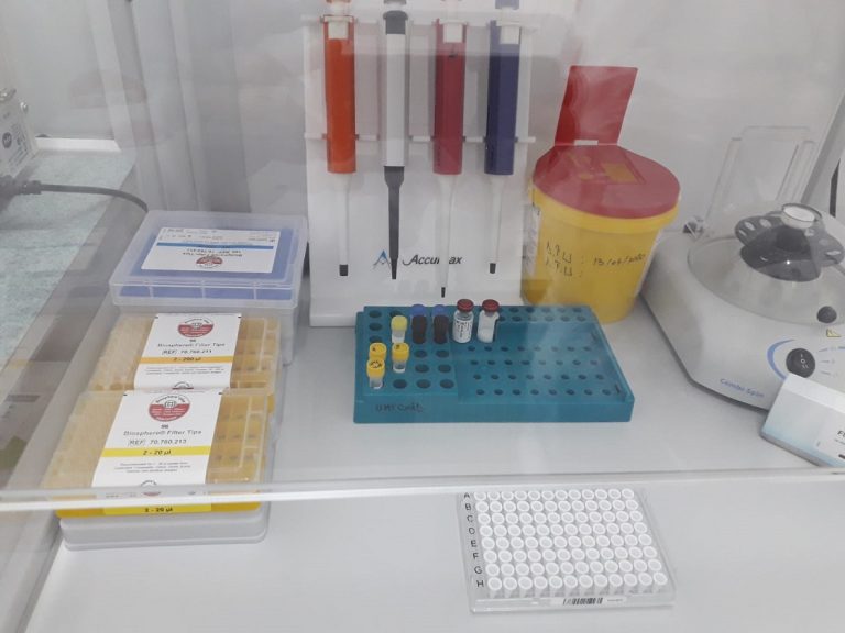 România va recupera din fonduri europene banii cheltuiți pentru decontarea testelor RT-PCR