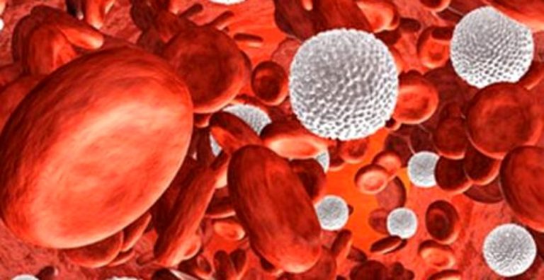 Astăzi este marcată Ziua internaţională de informare cu privire la leucemia mieloidă cronică