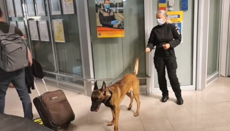 Pasagerii de pe Aeroportul Internaţional Sibiu, verificați pentru SARS-CoV-2, cu ajutorul câinilor