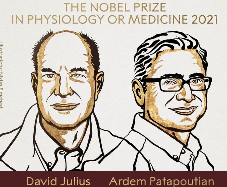 Premiul Nobel pentru medicină 2021, acordat pentru „descoperirea receptorilor de temperatură şi de atingere”