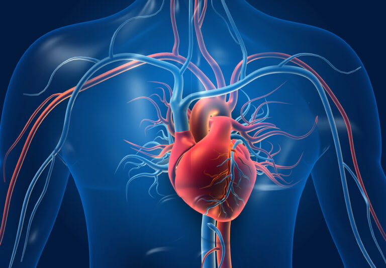 Un studiu recent demonstrează faptul că nevăzătorii își simt bătăile inimii mai bine decât restul semenilor