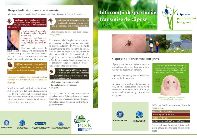 Invazie de căpușe din cauza temperaturilor crescute nefirești pentru această perioadă. Măsuri de protecție